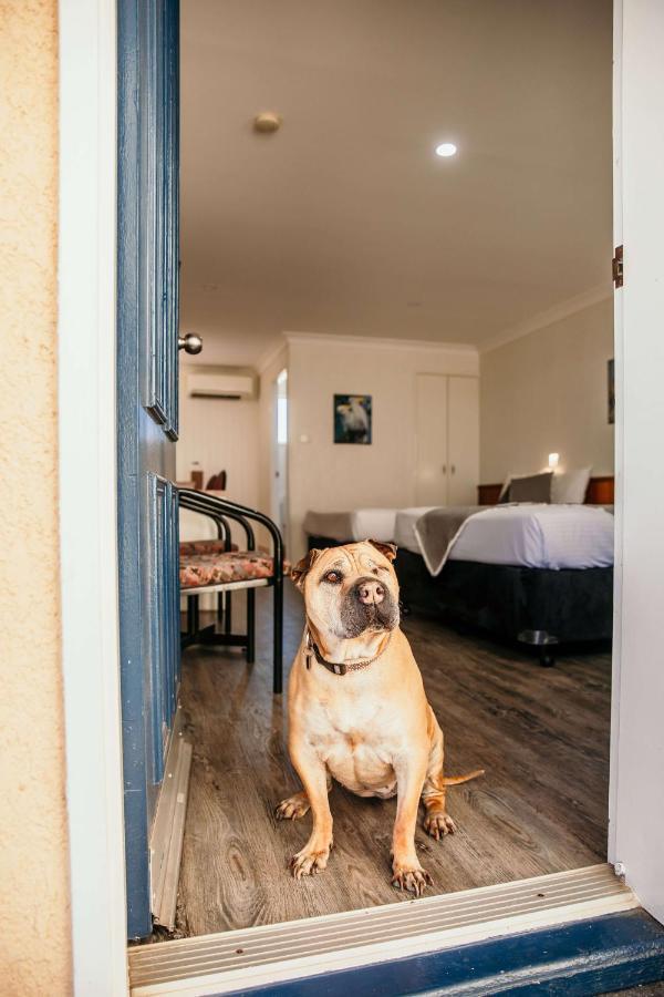 Motel Outback Mt Isa 3*